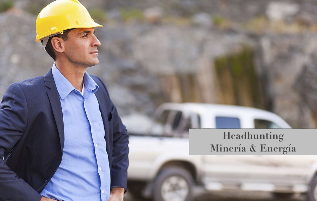Búsqueda ejecutiva en minería